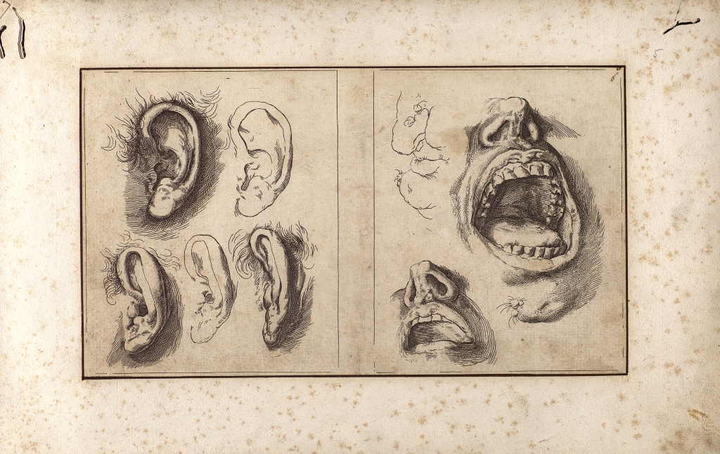 Imagen de Livre de portraitvre receuilly des oeuures de Ioseph de Rivera dit l&rsquo; Espagnolet, [s.l., s.a]. Bord/175